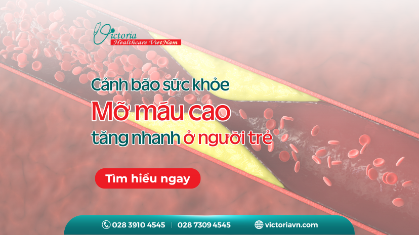 MỠ MÁU CAO TĂNG NHANH Ở NGƯỜI TRẺ! BẠN CÓ CHẮC MÌNH ĐANG AN TOÀN?