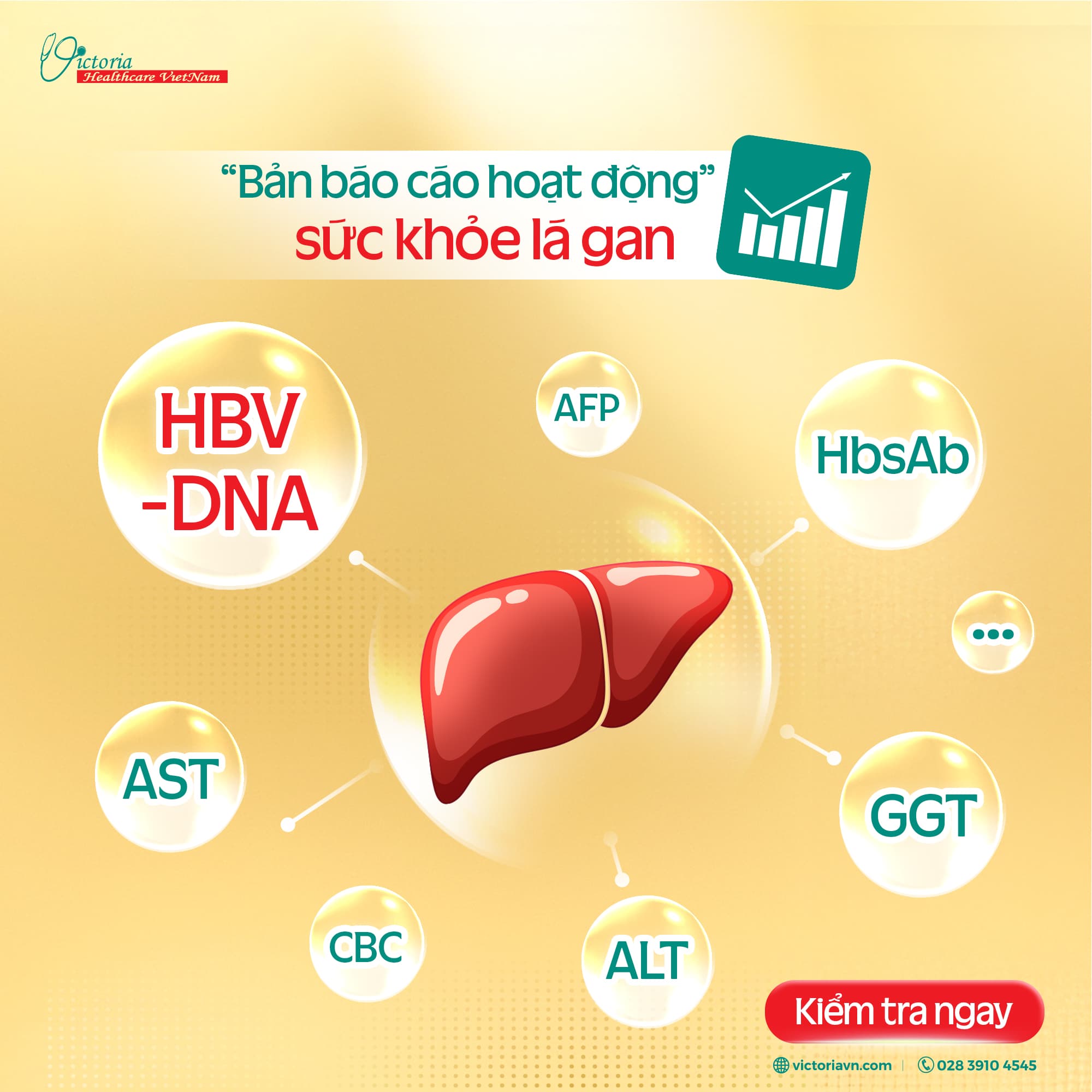 Chỉ số sức khỏe gan T9 2025