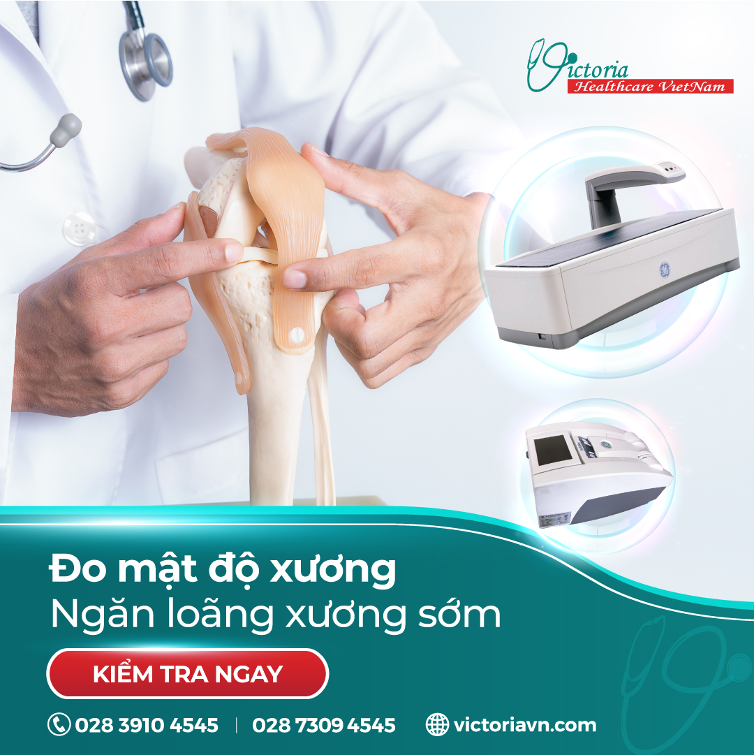 ĐO MẬT ĐỘ XƯƠNG VÀ 4 ĐIỀU CẦN NẮM RÕ TRƯỚC KHI THỰC HIỆN