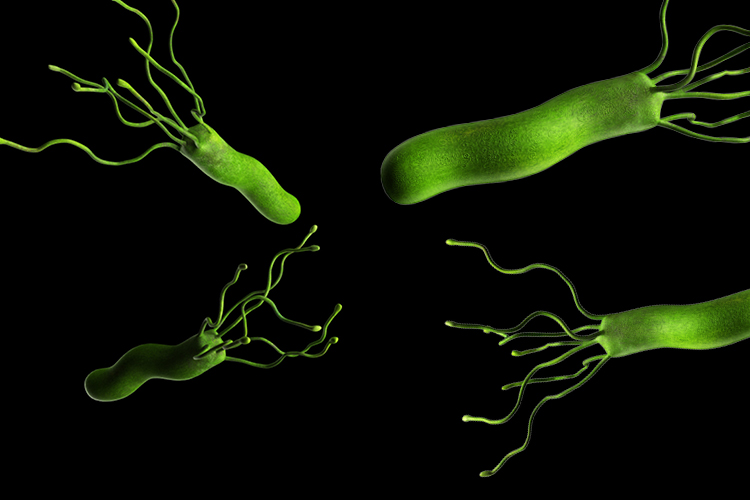 H.PYLORI INFECTION