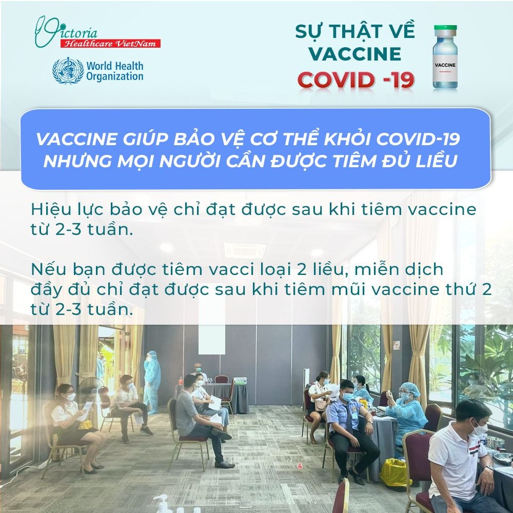 VHC. Tang mien dich
