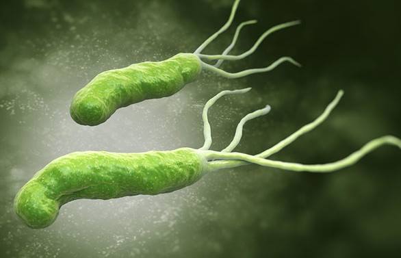 H.PYLORI VÀ BỆNH LÝ DẠ DÀY TÁ TRÀNG